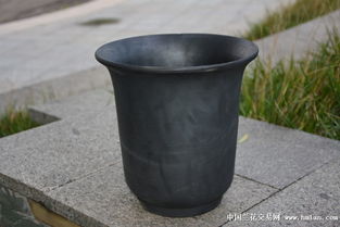 精品大號金鐘盆 泥瓦盆在蘭花種植中的應(yīng)用與普通馬桶的對比分析